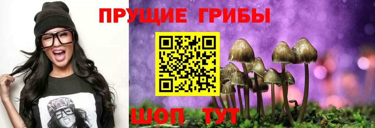 где купить наркотик  Галлюциногенные грибы мухоморы  Вход с VPN  Псилоцибиновые грибы Psilocybe  Югорск 